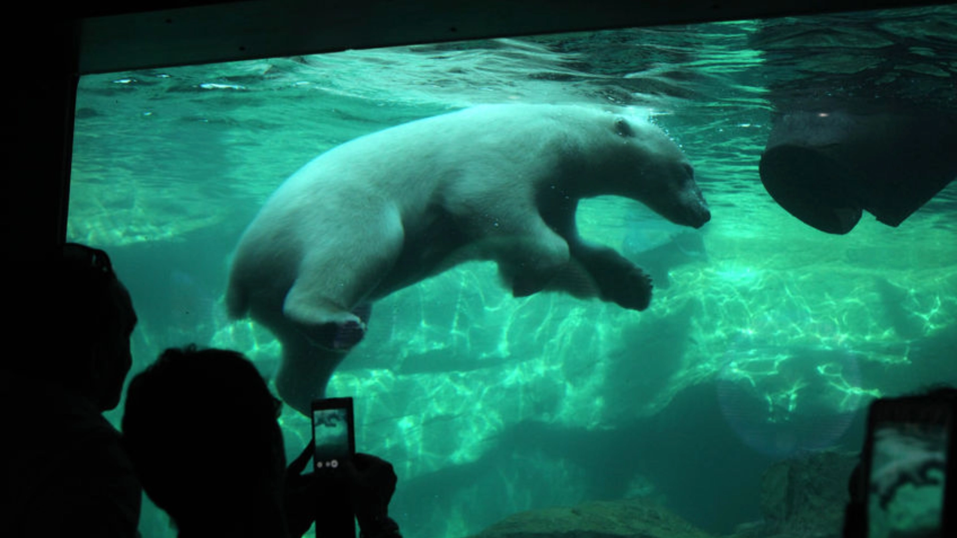 Zoo