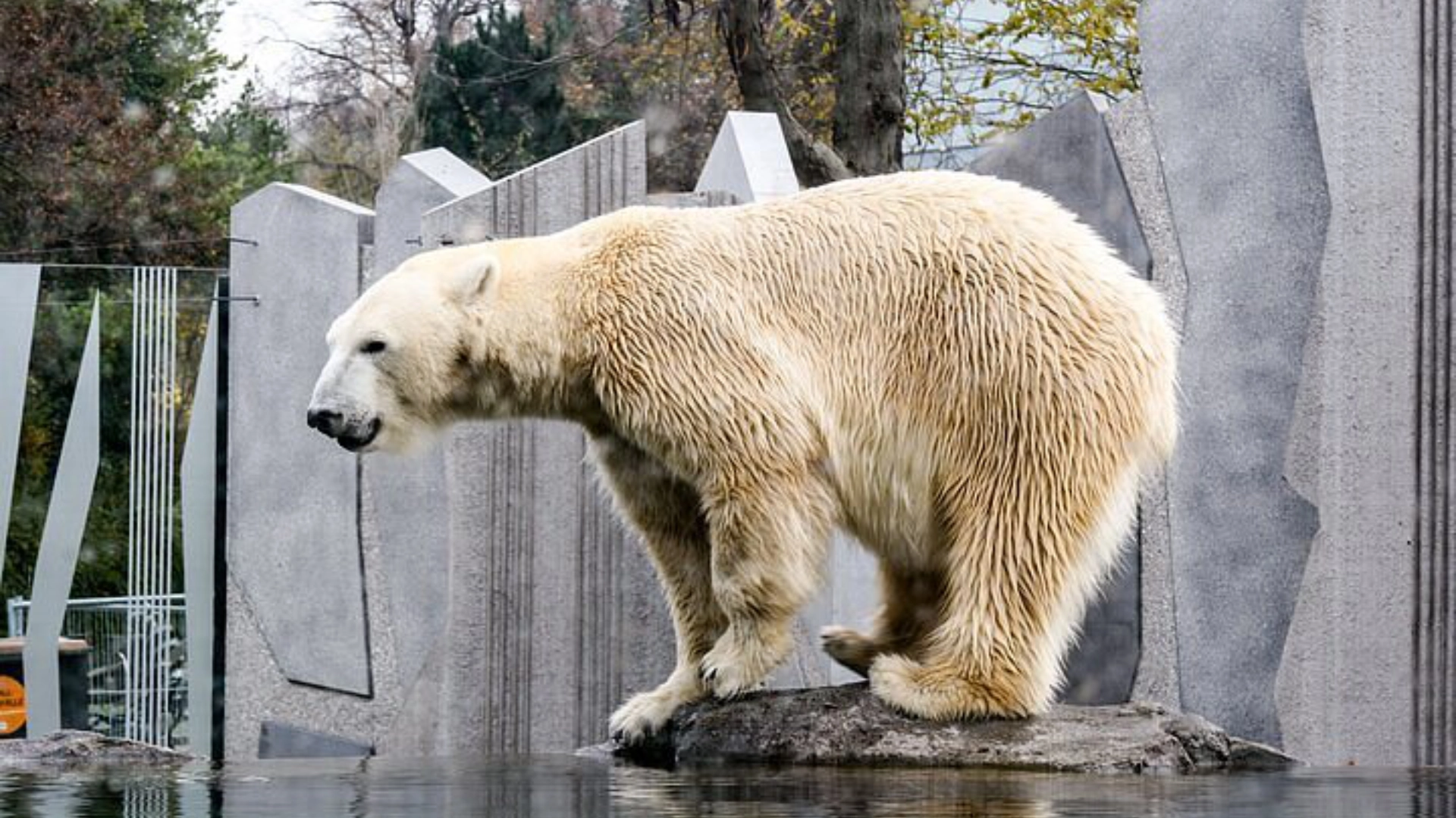 Zoo