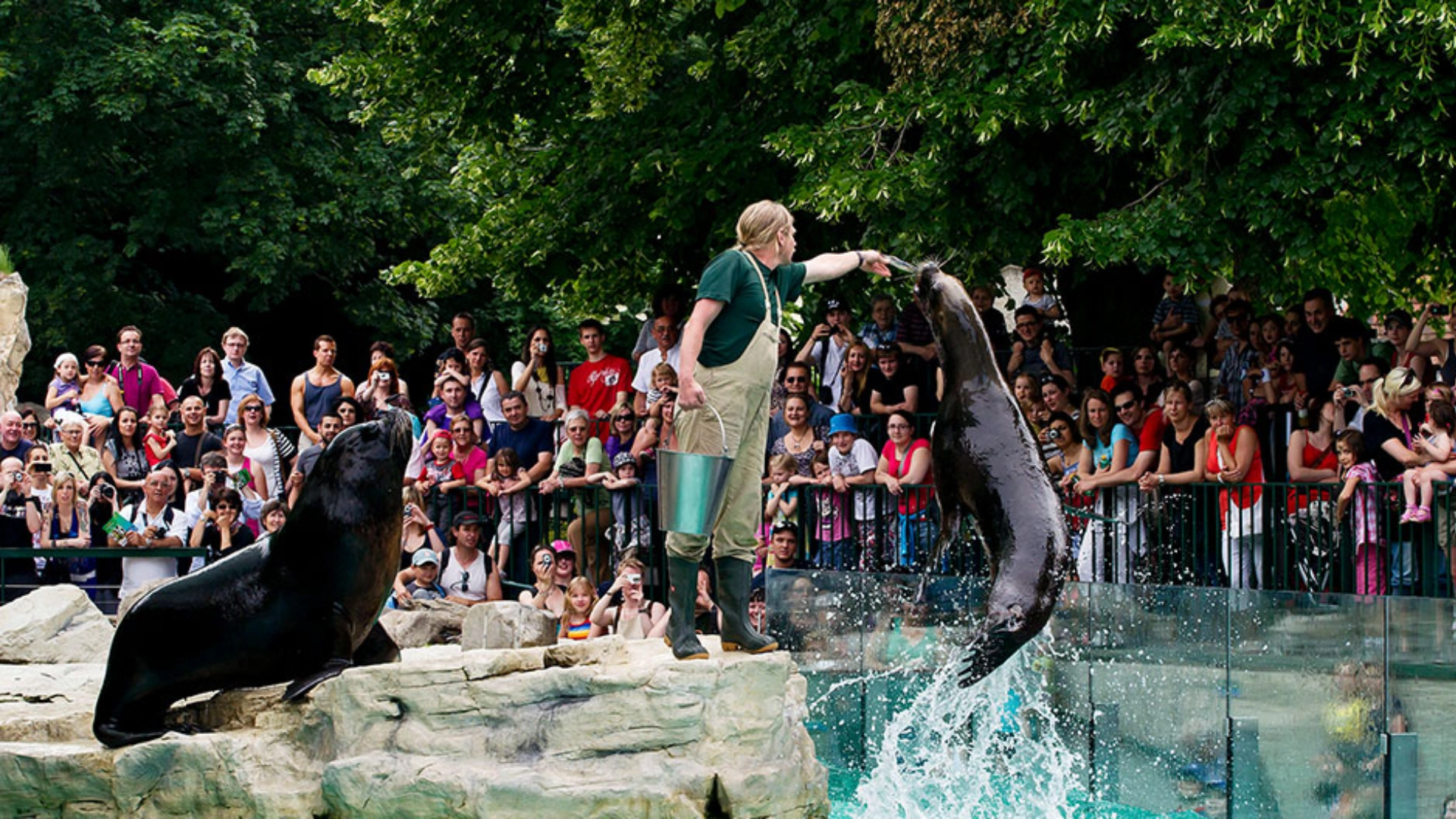Zoo
